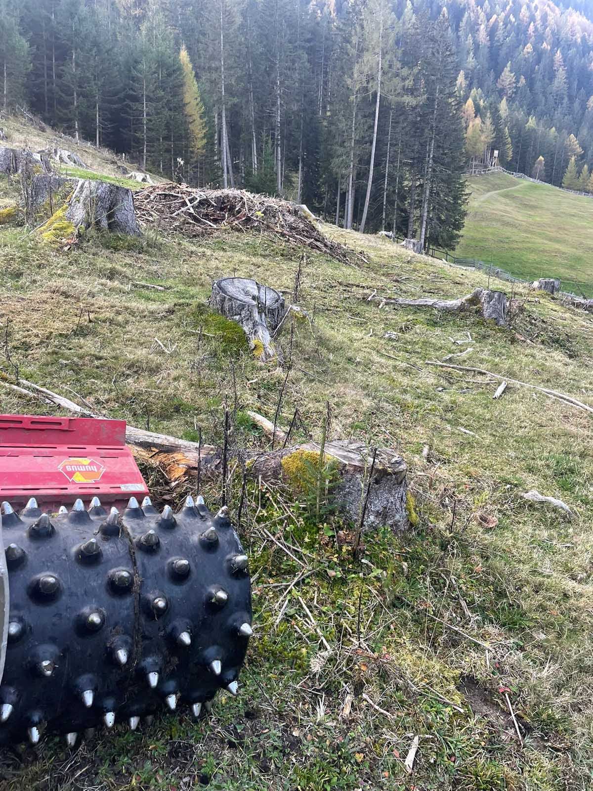 Eberharter Agrar Mulcharbeiten 021